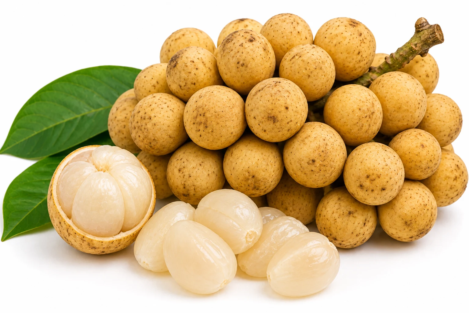 Longkong from Thailand