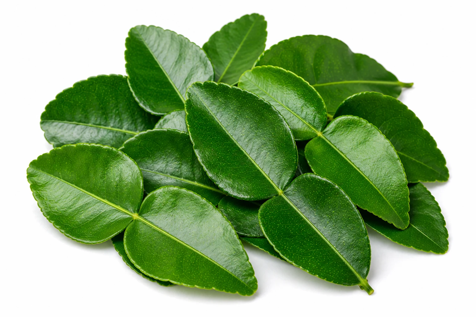 Makrut Lime Leaves from Thailand
