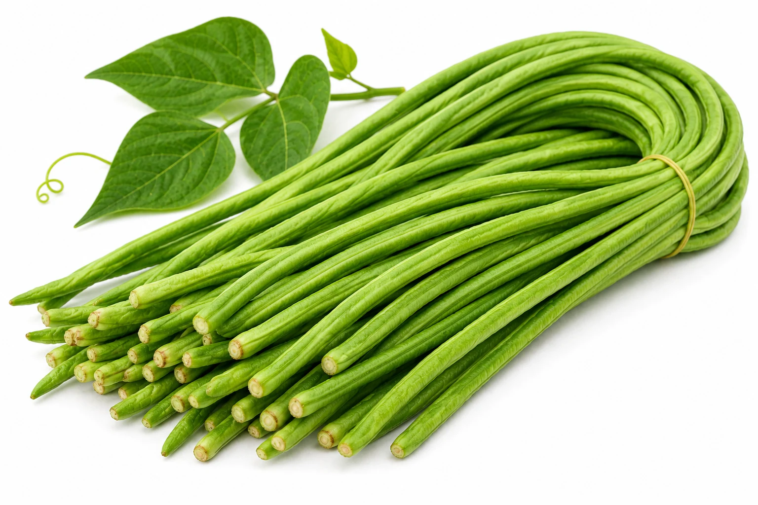 Yardlong Bean from Thailand